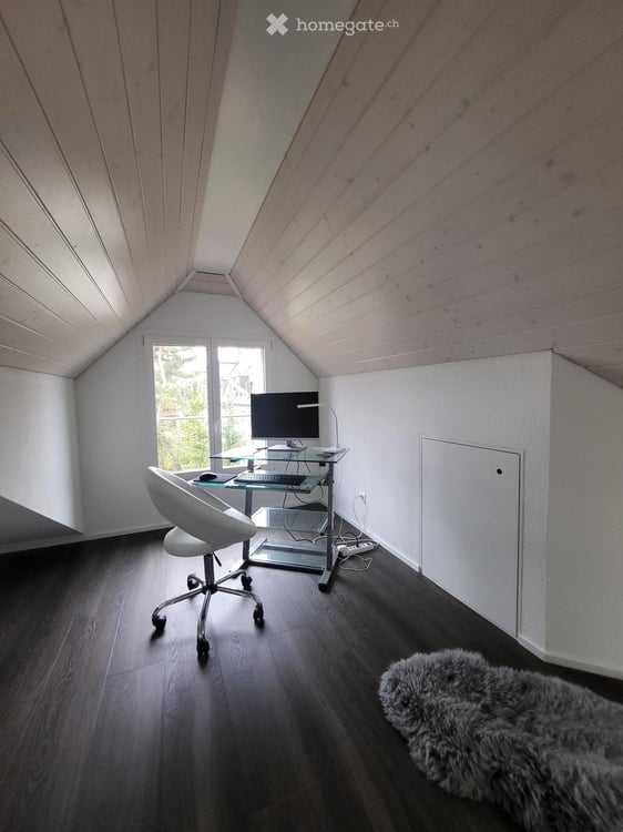 Spezielle 4,5-Maisonette-Dachwohung in Zürich Kreis 6 7