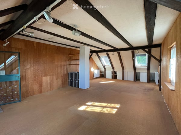 Historisches 6½-Zimmer-Haus mit Garten, Werkstatt, Atelier, zwei Garagenplätzen und einem Carport 12