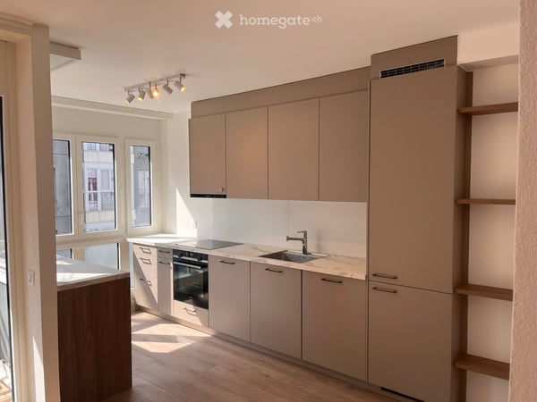 Appartement meublé de 4 pièces, entièrement rénové, à Genève entre la Jonction et Bel-Air. 6
