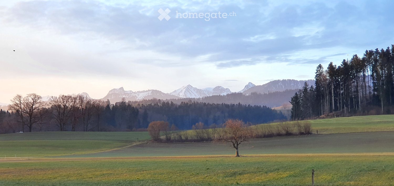 A serene landscape featuring a vast green field with scattered trees, a lone tree in the foreground, and a dense forest bordering the field. Snow-capped mountains rise majestically in the background under a partly cloudy sky.