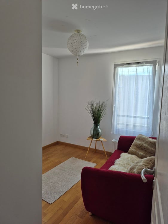 Joli appt T3 traversant 69m2 Ferney-Voltaire, lumineux, tout à proximité 8