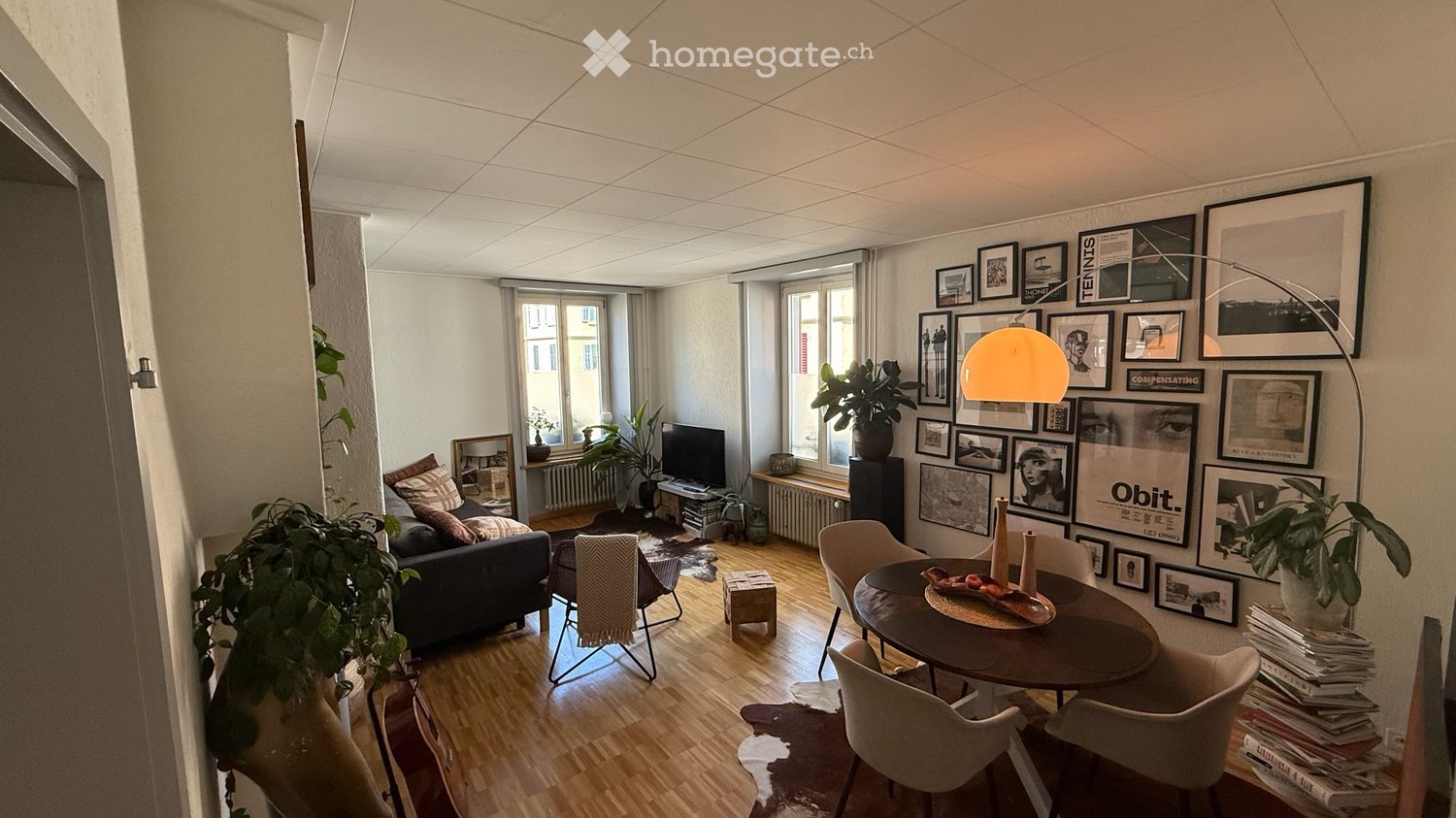 A modern living room with a sofa, coffee table, dining table, chairs, floor lamp, television, and several plants. The room features wooden flooring, large windows, and a gallery wall with framed pictures.