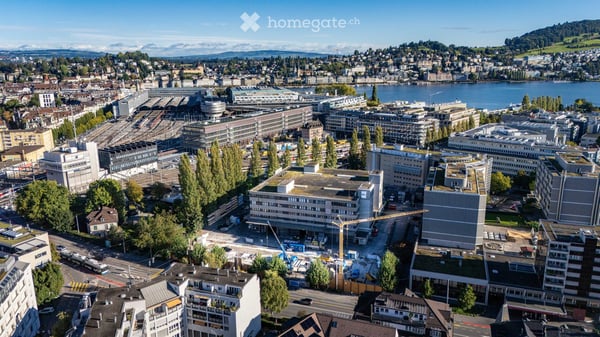 Tribschen Office Luzern 6