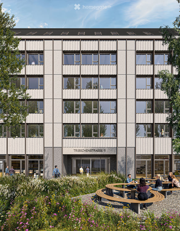 Tribschen Office Luzern 8