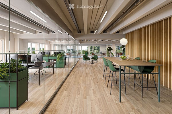 Tribschen Office Luzern 2
