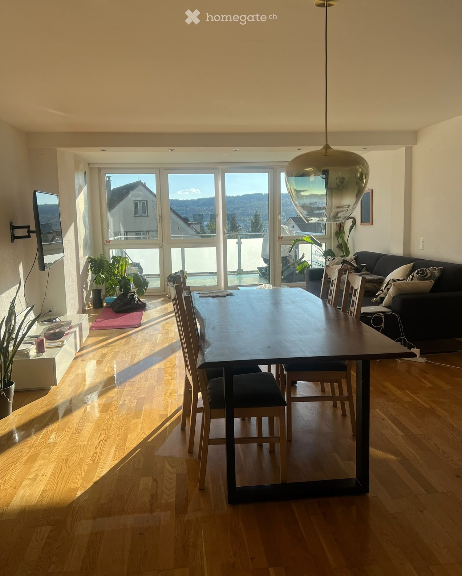 Bright, open living and dining area with wooden flooring, large windows, a dining table with chairs, a sofa, and a television mounted on the wall.