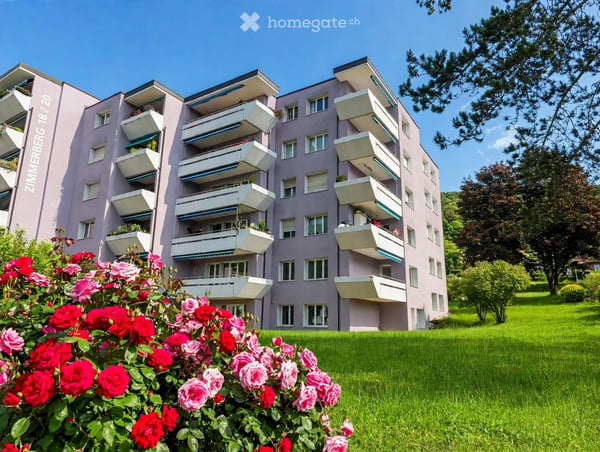 Weitblick über Beringen: Grosszügige Wohnung mit 3 Balkonen und Cheminée