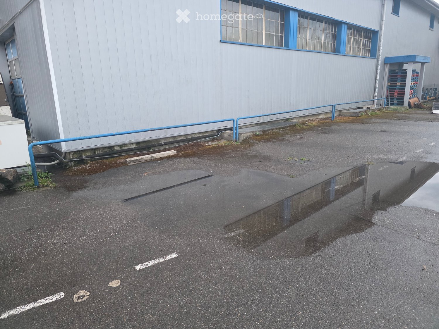 Exterior view of a modern industrial-style building with a grey metal facade, blue-framed windows, and a wet parking area in front.