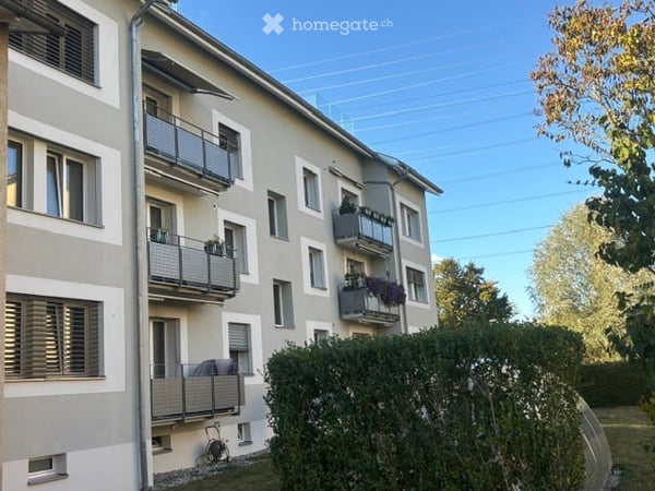 Schöne Loft-Dachwohnung in Schwamendingen 7