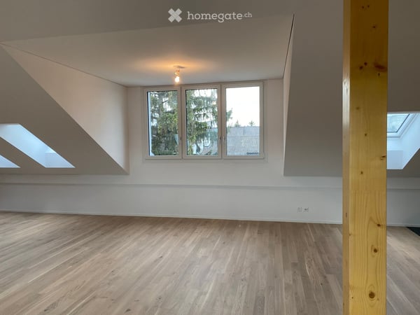 Schöne Loft-Dachwohnung in Schwamendingen 5