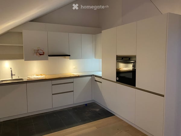Schöne Loft-Dachwohnung in Schwamendingen 4