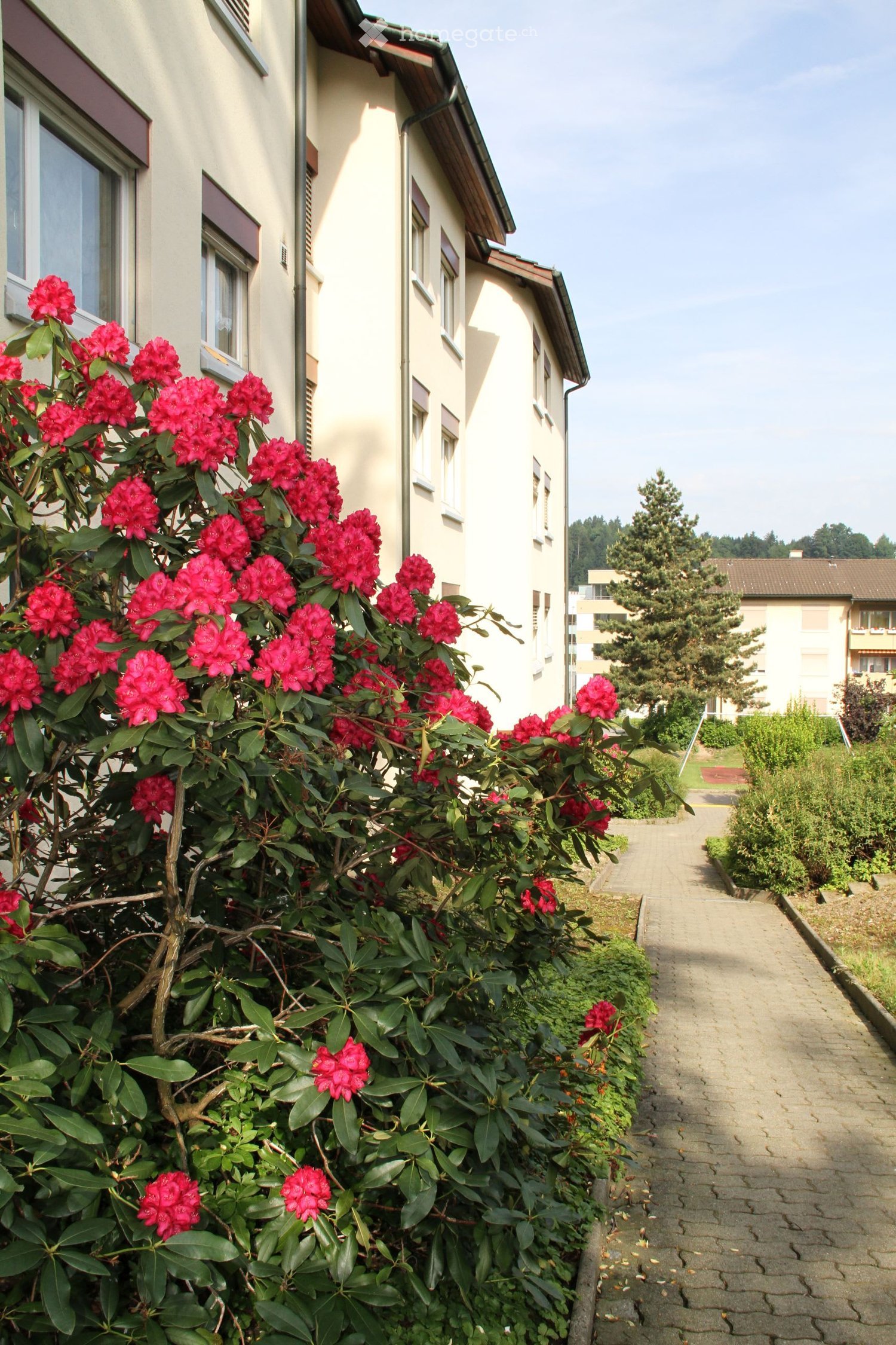 A garden area with a large bush of red flowers in the foreground, a paved pathway, and a multi-story residential building in the background.