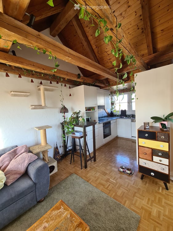3 Zimmer Maisonette-Wohnung in Grüningen 4