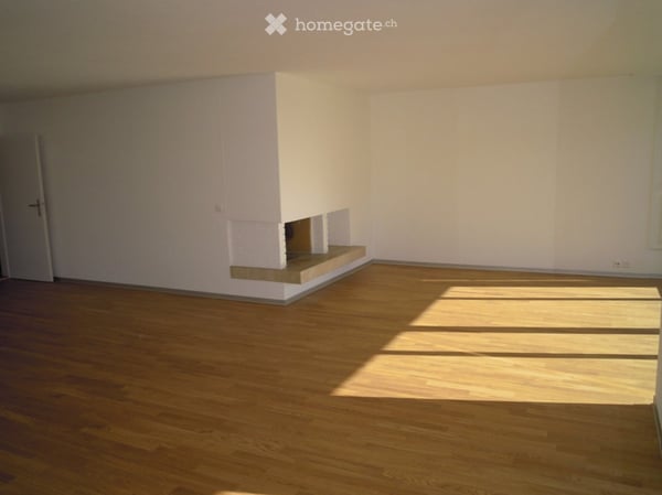 Attraktiv, hell, gross - 4.5-Zimmerwohnung mit Weitsicht 6