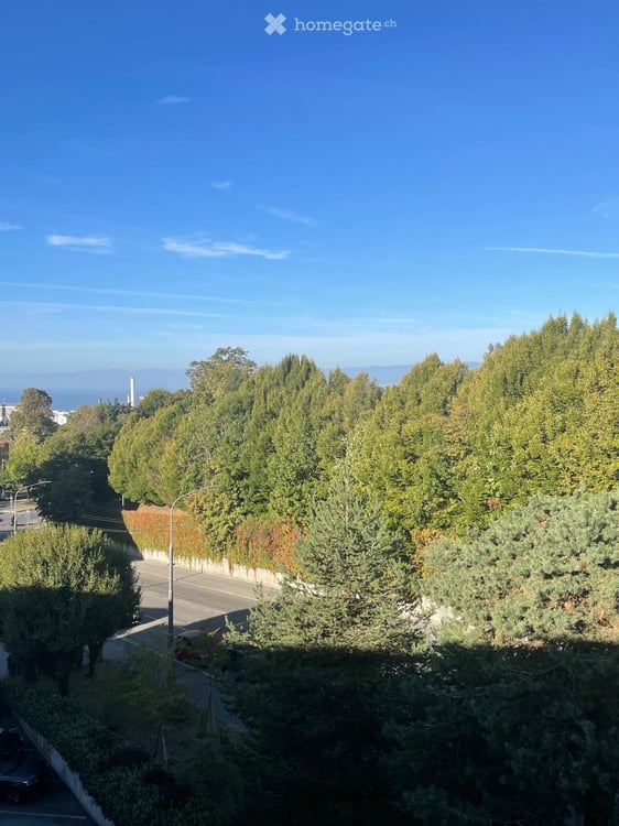 Attique à Lausanne