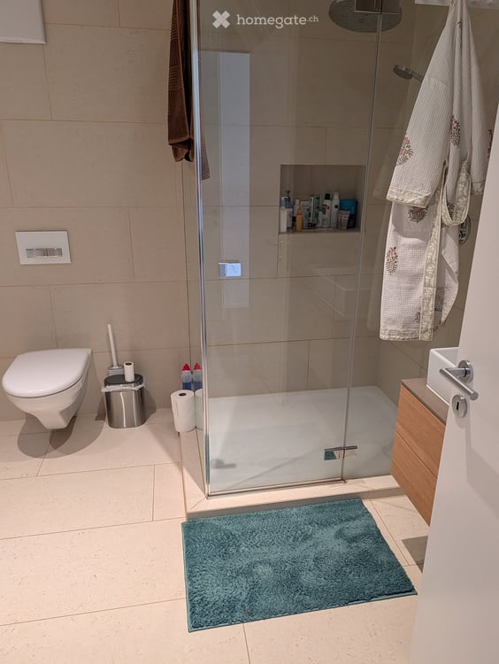 Helle 3.5-Zimmer-Wohnung mit Balkon & eigenem Waschturm, nahe See 13
