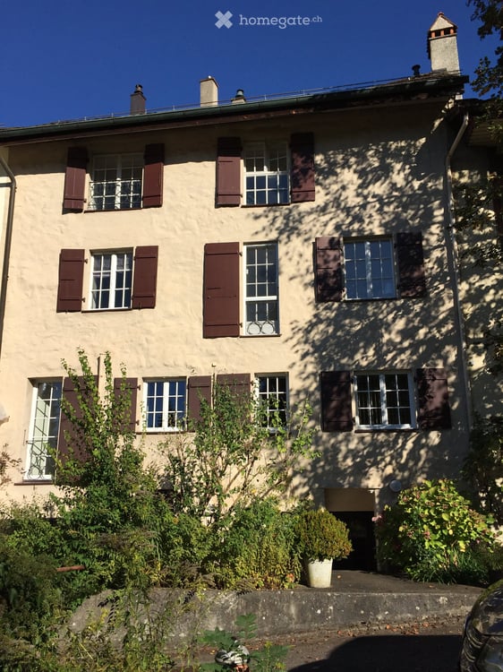 5.5-Zi.-Maisonette-Whg. + 1.5 Zi. EG-Whg. m. Gewerbe in Kaiserstuhl + Land in D 19
