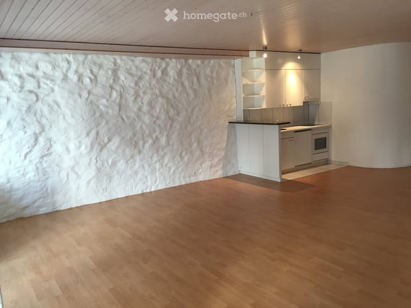 5.5-Zi.-Maisonette-Whg. + 1.5 Zi. EG-Whg. m. Gewerbe in Kaiserstuhl + Land in D 28
