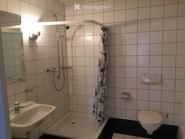 5.5-Zi.-Maisonette-Whg. + 1.5 Zi. EG-Whg. m. Gewerbe in Kaiserstuhl + Land in D 30
