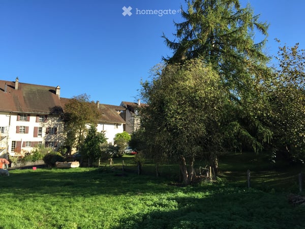 5.5-Zi.-Maisonette-Whg. + 1.5 Zi. EG-Whg. m. Gewerbe in Kaiserstuhl + Land in D 25