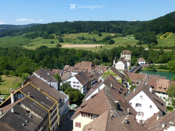 5.5-Zi.-Maisonette-Whg. + 1.5 Zi. EG-Whg. m. Gewerbe in Kaiserstuhl + Land in D 21