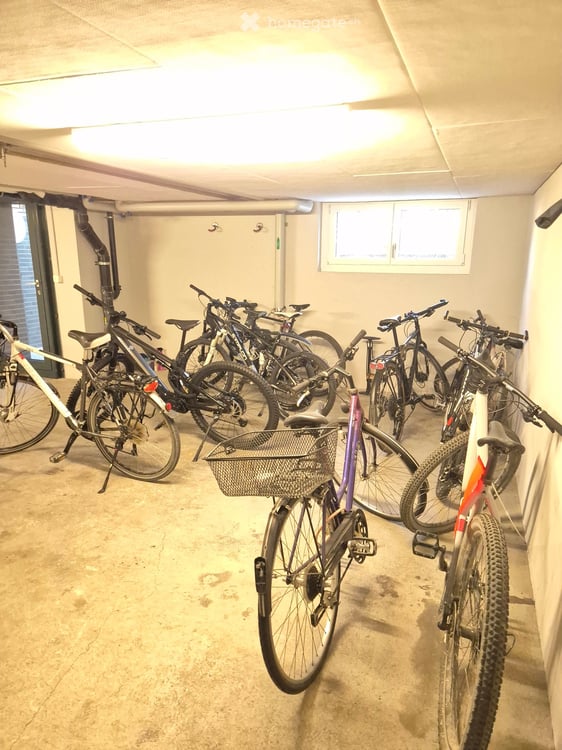 3-Zimmerwohnung in Winterthur 3