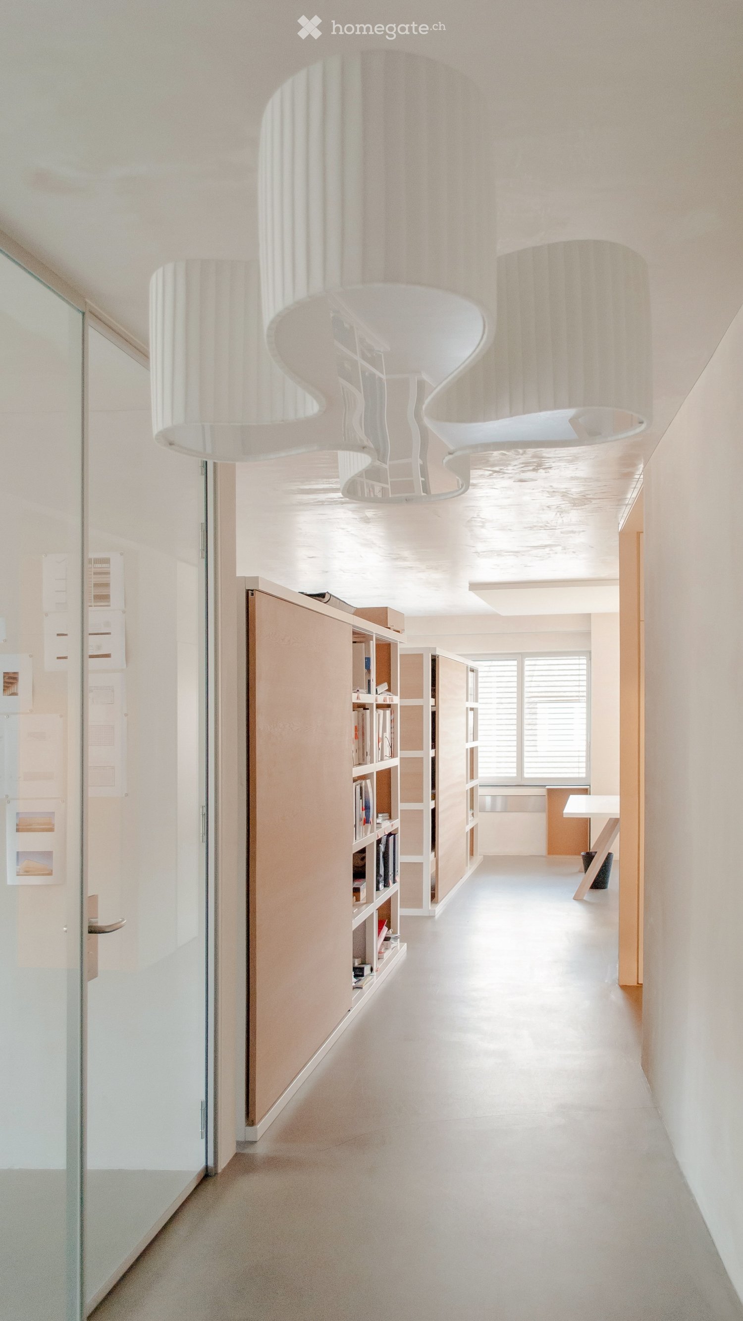 Modern hallway with white walls, sleek lighting fixtures, built-in shelving, and a glass door leading to another room.