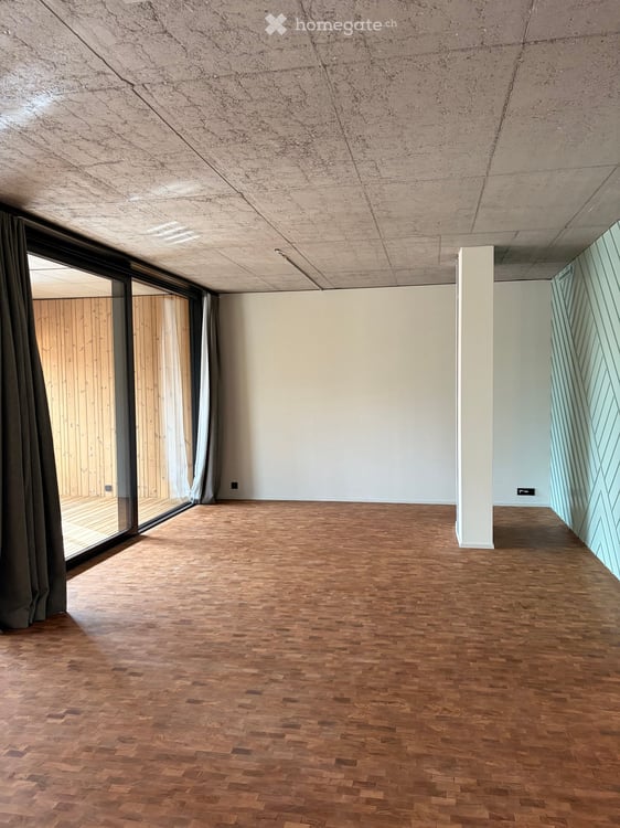 Loft in Zumikon 2
