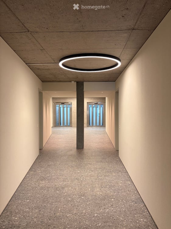 Loft in Zumikon