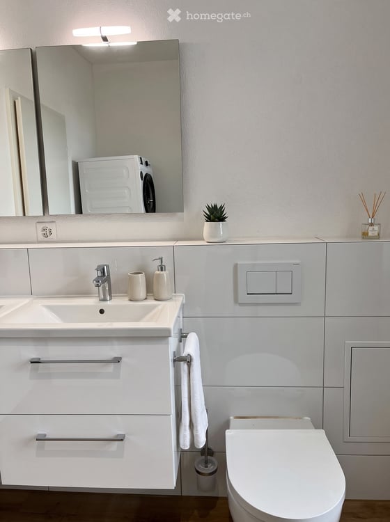 Kernsanierte 3.5-Zi-Wohnung im Zentrum von Frick 9