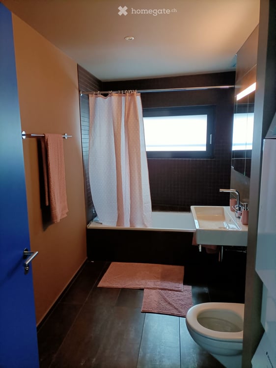 Available Apartment in Zürich, 1 bedroom, easy access to the city 11