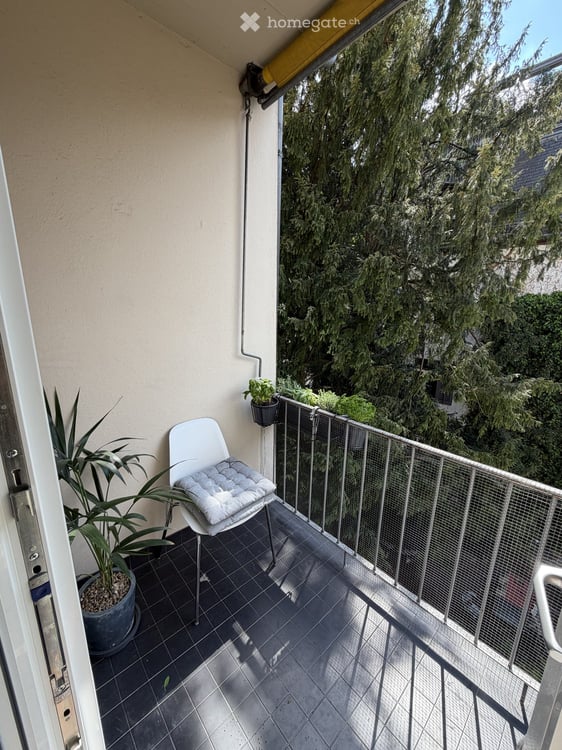 Grosszügige, lichtdurchflutete 3.5 Zimmerwohnung mit zwei Balkonen in Hottingen 13