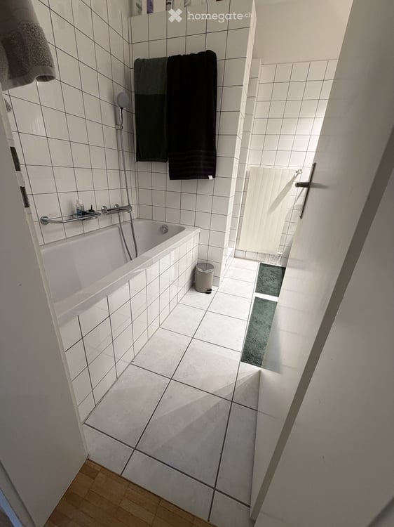 Grosszügige, lichtdurchflutete 3.5 Zimmerwohnung mit zwei Balkonen in Hottingen 9
