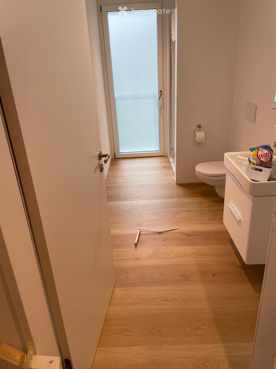 Neuwertige 3.5-Zimmer-Wohnung mit Balkon, optionalem Tiefgaragenplatz und bester ÖV-Anbindung 19