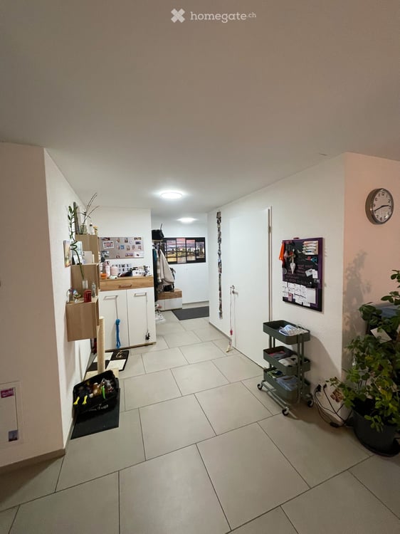 3.5-Zimmer-Wohnung mit Balkon im Bahnhof-Quartier Wetzikon 4