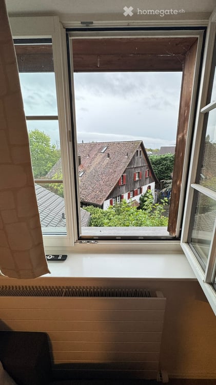 Nachmieter gesucht: 3.5-Zimmer-Dachwohnung in Oberglatt ZH ab 1. Dezember 2026 4