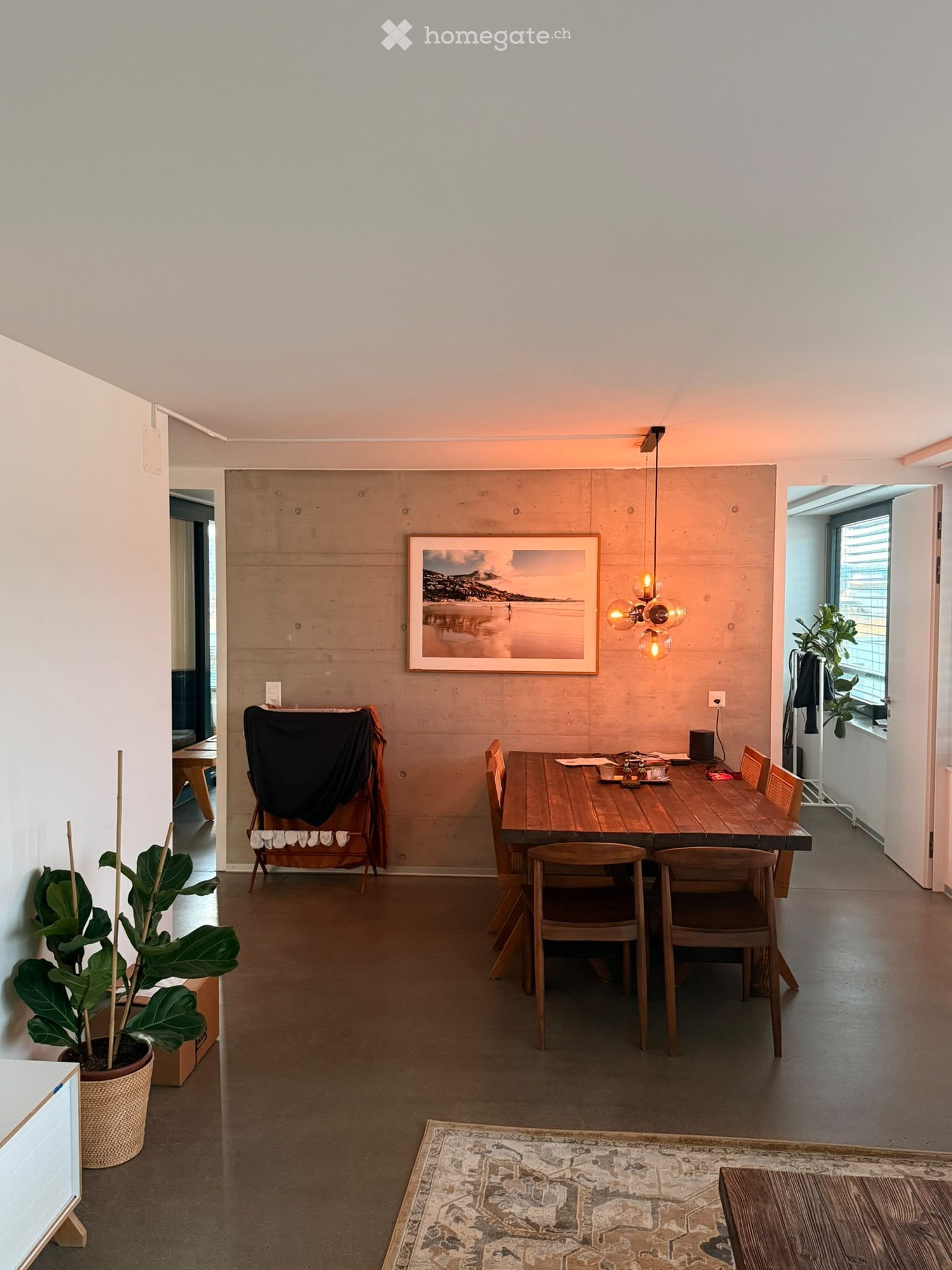 Modern dining area with a wooden dining table, six chairs, a pendant light fixture, a large potted plant, and a framed picture on the wall.