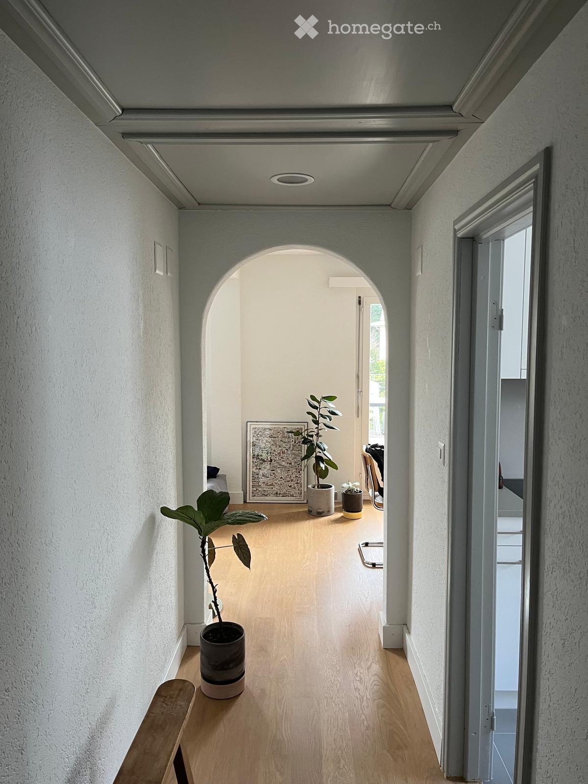 A modern hallway with light wooden flooring, white walls, and an arched opening leading to another room. Potted plants are placed along the hallway, and a bench is visible on the left side.