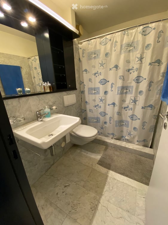 Möblierte 4½-Zimmer-Wohnung am Rosenberg in Luzern 9