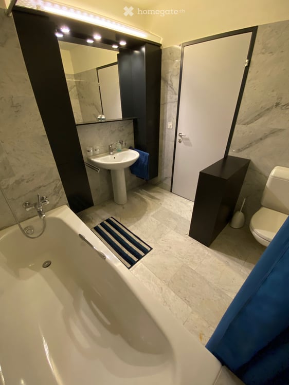 Möblierte 4½-Zimmer-Wohnung am Rosenberg in Luzern 11