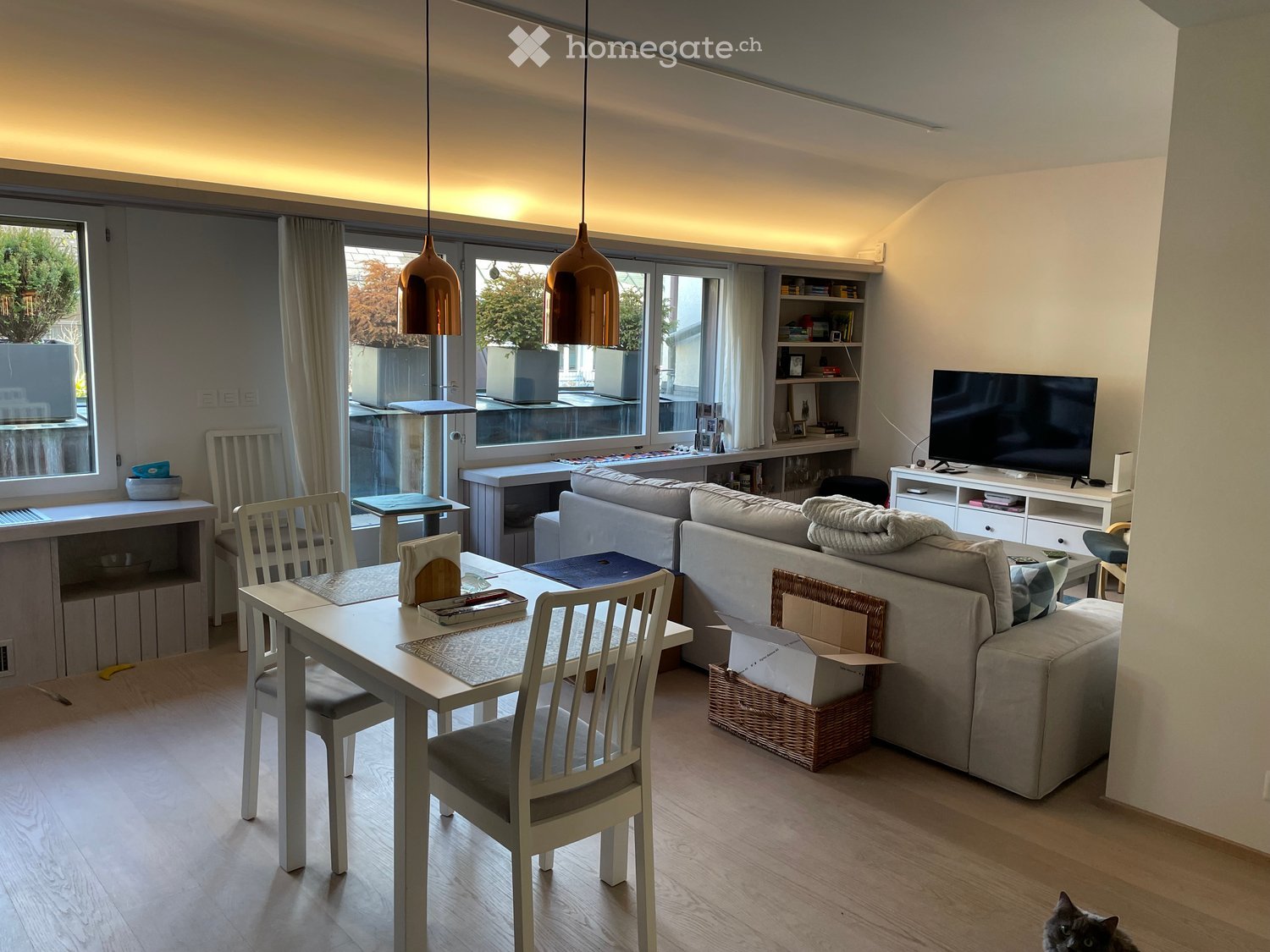 Modern living and dining area with a grey sofa, dining table with chairs, TV, and a cat tree. Large windows and pendant lamps provide ample natural and artificial light.