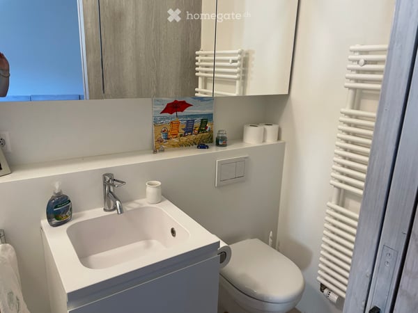 3.5 Room Apartment Close to Train Station 13
