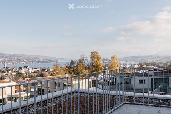 Attikawohnung in Thalwil