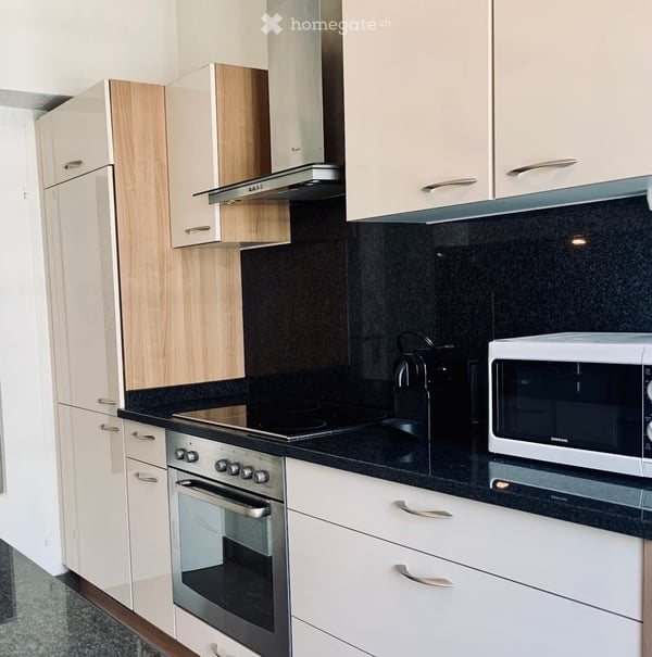 Prime Geneva Living: Peaceful, Move-In Ready 3-Room Apartment Near the Lake & UN- furnished 7