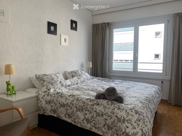 Prime Geneva Living: Peaceful, Move-In Ready 3-Room Apartment Near the Lake & UN- furnished 9