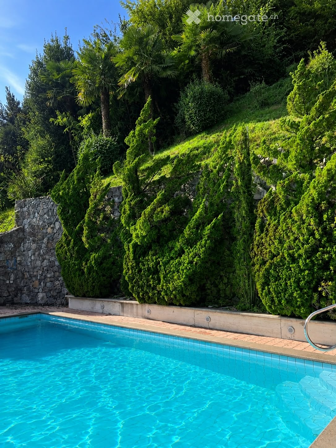 A swimming pool surrounded by lush green trees and shrubs, with a stone wall and tiled deck.