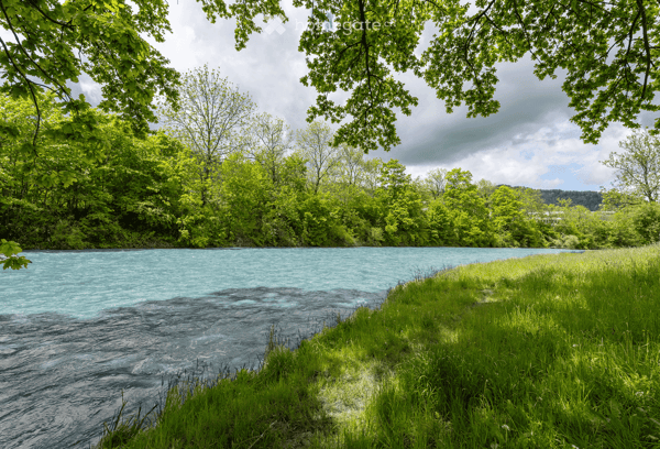 Attic flat in Adliswil with a splendid view of the Sihl River 11