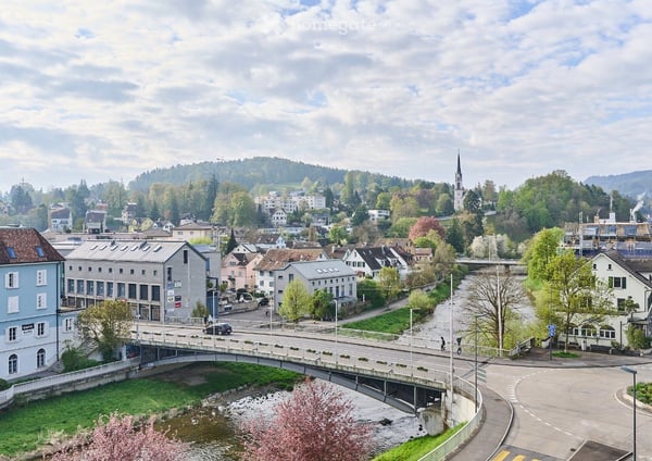 Attic flat in Adliswil with a splendid view of the Sihl River 8