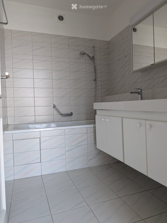 Exclusive Top-Floor 2-Level Penthouse in Adliswil (85 m²) 13