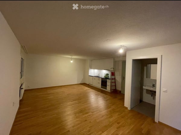 Neu renovierte Studio-Wohnung mit Balkon 1